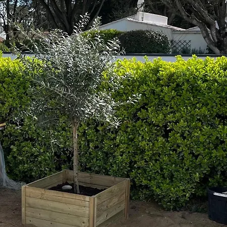 Sables Des Dunes, Jolie Maison Neuve Confort, Famille Ou Entre Amis, 500 M *