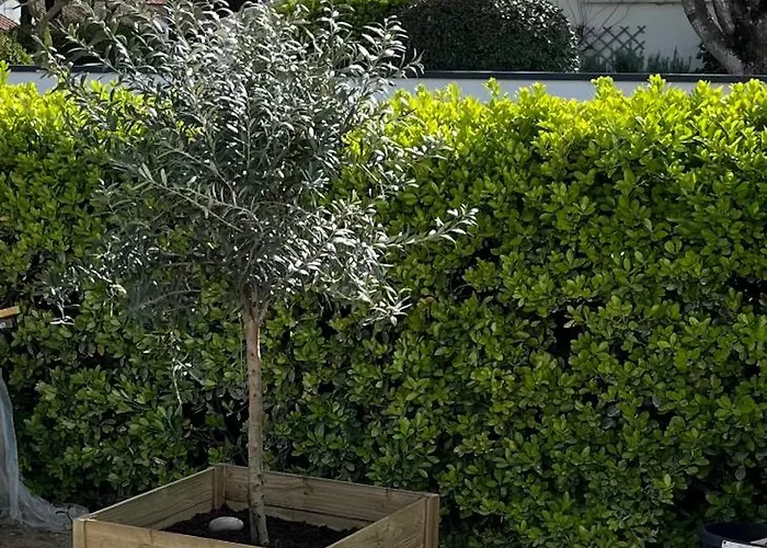 Sables Des Dunes, Jolie Maison Neuve Confort, Famille Ou Entre Amis, 500 M *