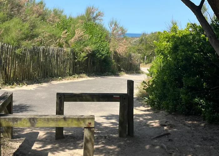 בית נופש Sables Des Dunes, Jolie Maison Neuve Confort, Famille Ou Entre Amis, 500 M