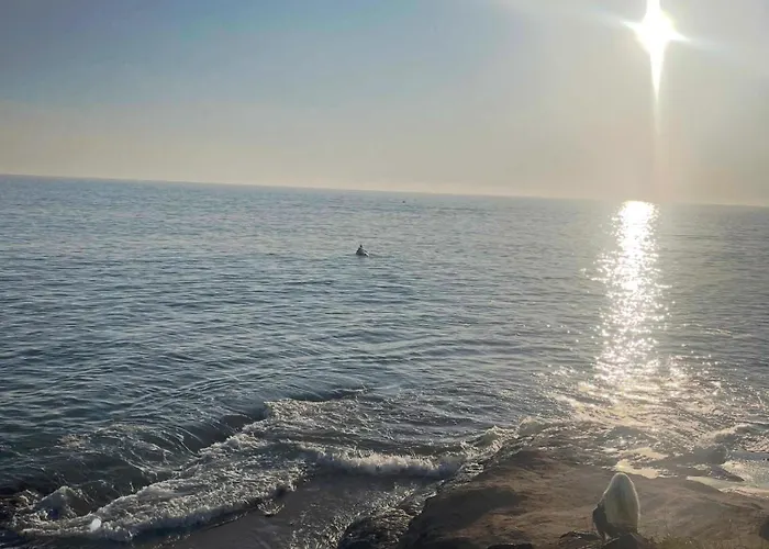 בית נופש Sables Des Dunes, Jolie Maison Neuve Confort, Famille Ou Entre Amis, 500 M Brétignolles-sur-Mer