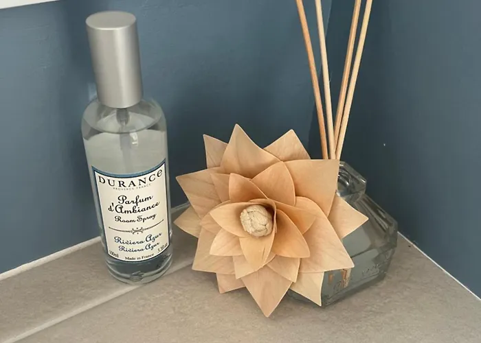 Sables Des Dunes, Jolie Maison Neuve Confort, Famille Ou Entre Amis, 500 M